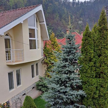 Pensiunea Irina Tilişca Exterior foto