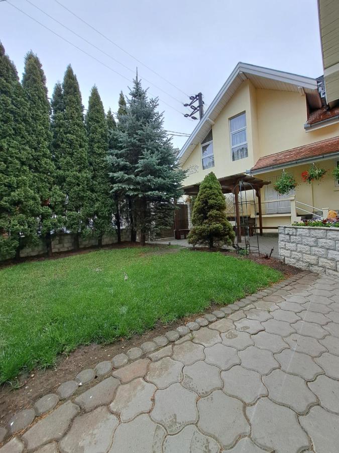 Pensiunea Irina Tilişca Exterior foto