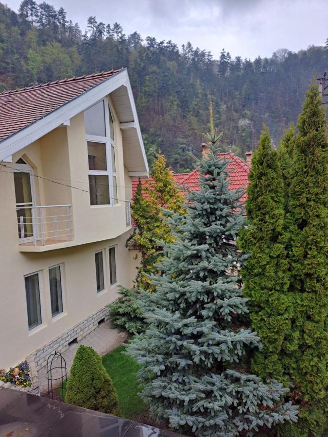 Pensiunea Irina Tilişca Exterior foto