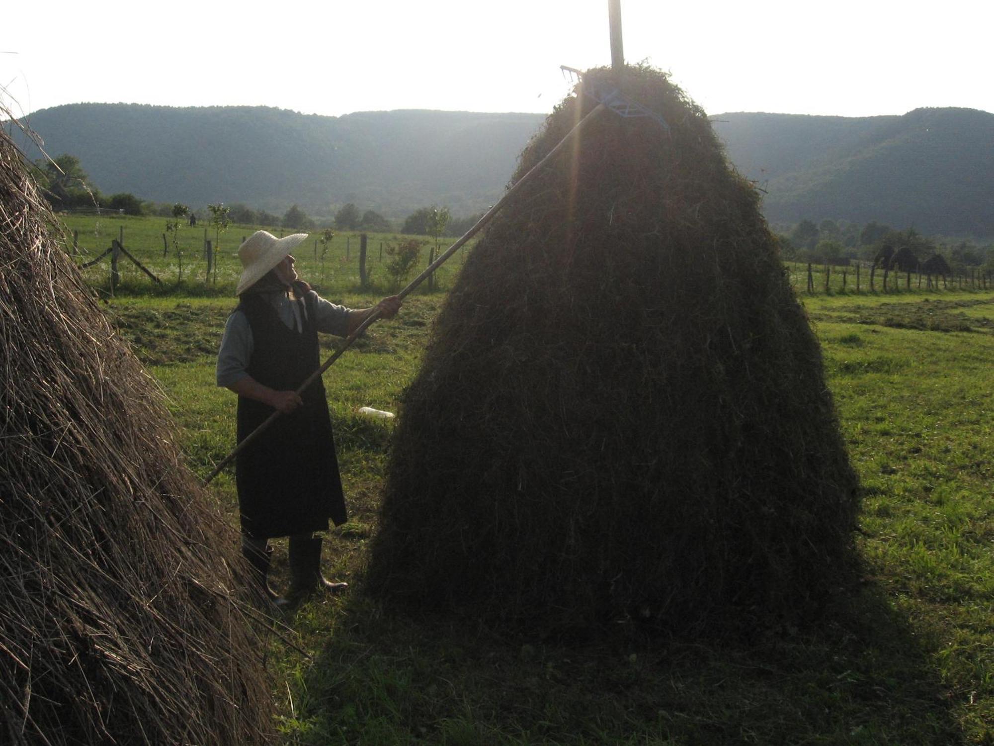Pensiunea Irina Tilişca Exterior foto