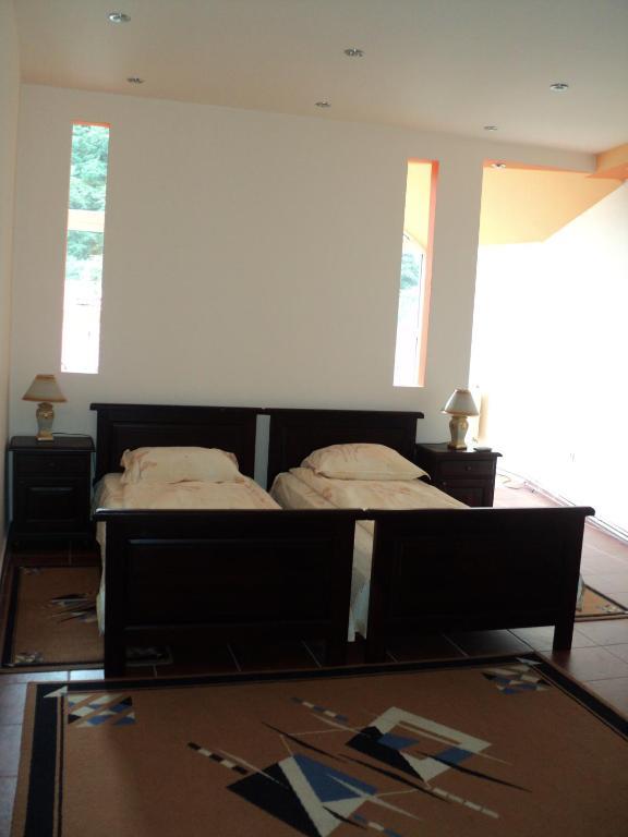 Pensiunea Irina Tilişca Habitación foto