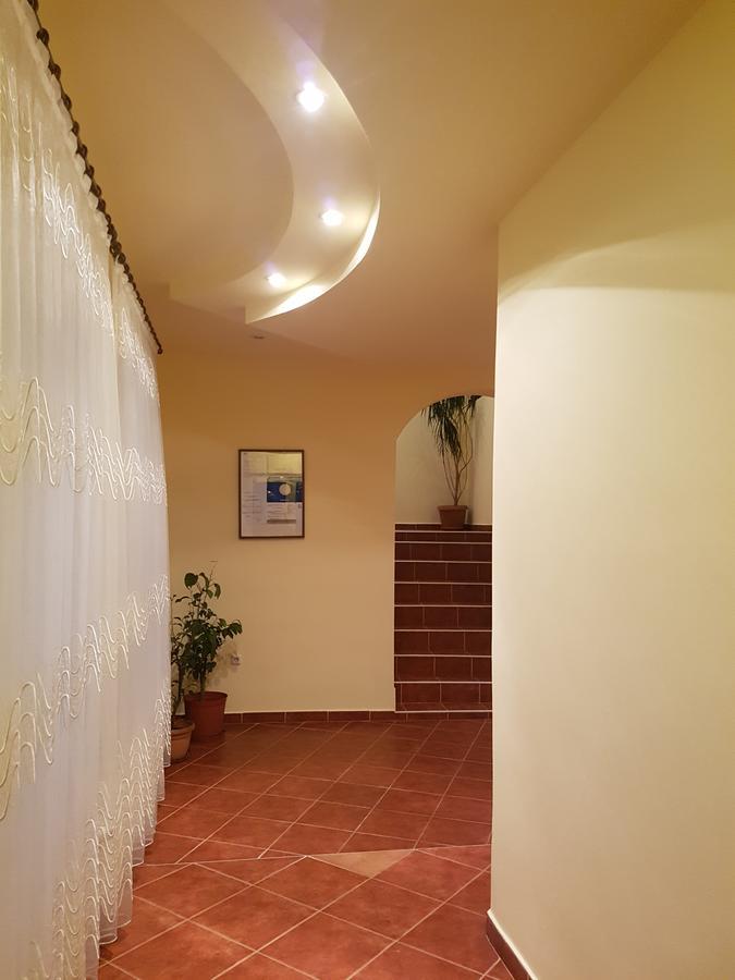 Pensiunea Irina Tilişca Exterior foto
